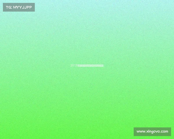 2017书协赛事翰墨飘香书法艺术盛典璀璨启幕 2017书协赛事翰墨飘香书法艺术盛典璀璨启幕