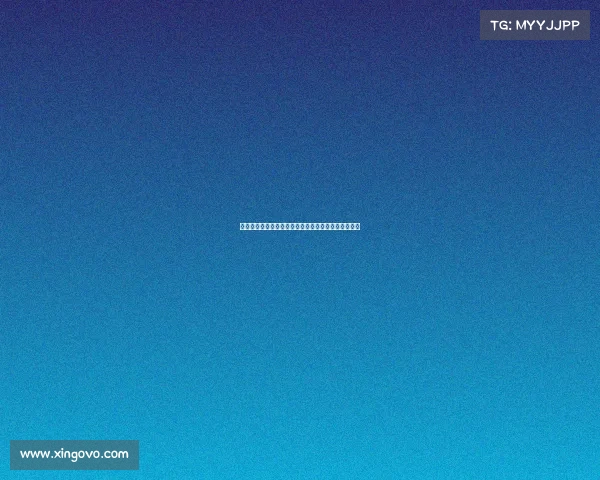 宝马赛事年度成绩辉煌展示速度激情铸就不凡荣耀战绩