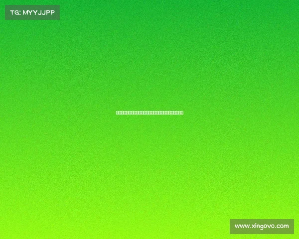 拳击赛事分类系统全面解析及其在竞技体育中的应用价值探索