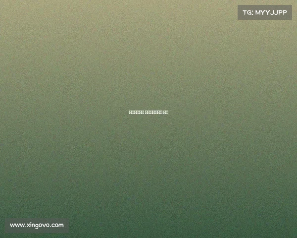 林书豪的赛事 林书豪比赛视频 集锦